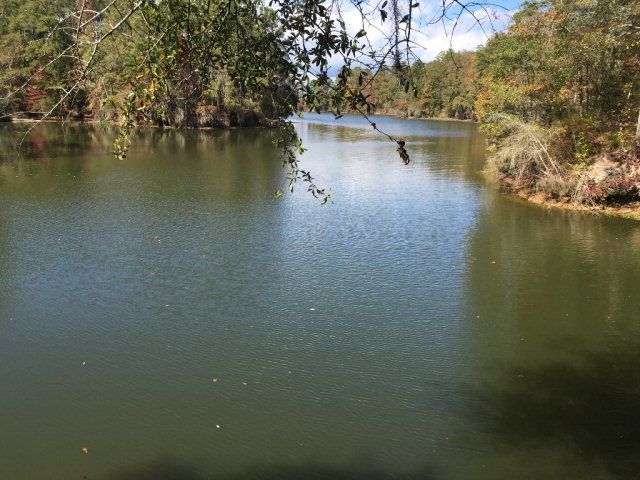 431 Us Hwy 431, Eufaula, AL 36027
